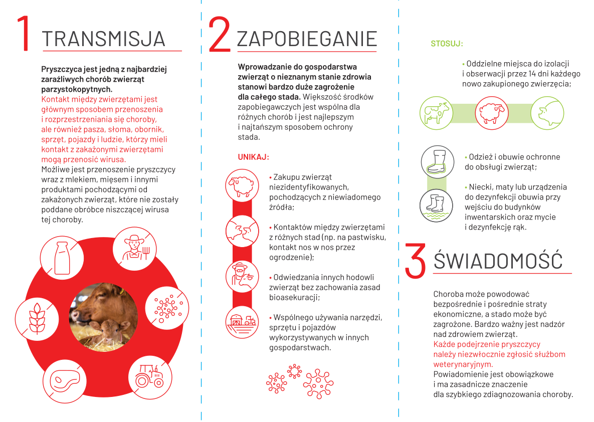 Ulotka dotycząca pryszczycy