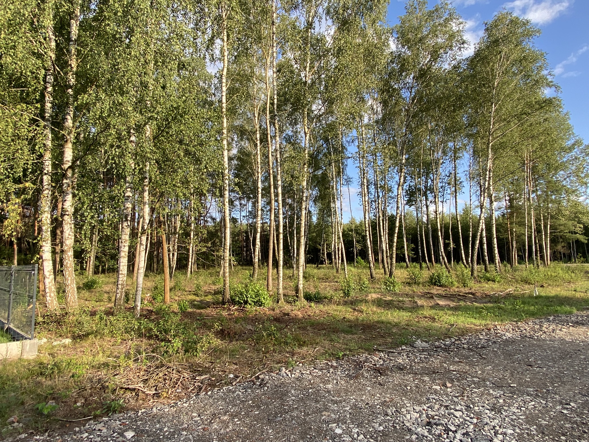 Zdjęcie działki na sprzedaż